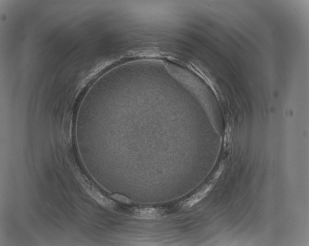 X0000085260301200703091330