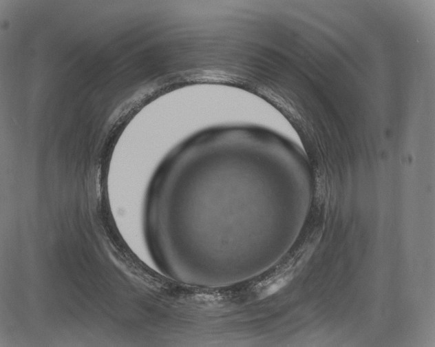 X0000085260302200703091330