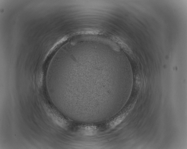 X0000085260304200703091330