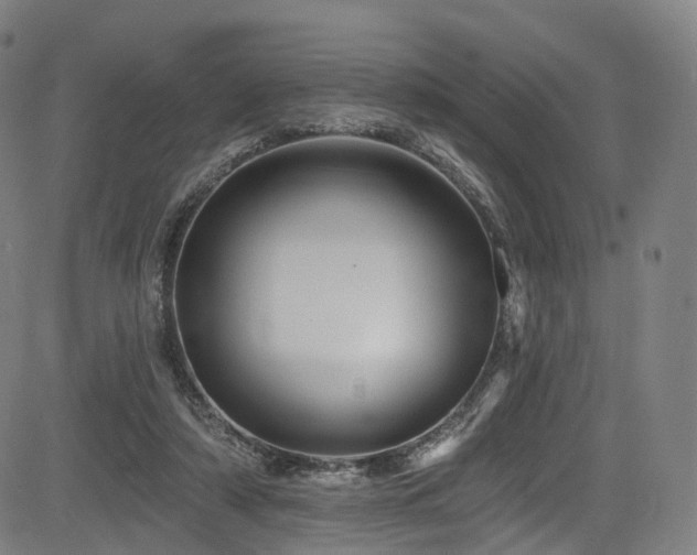 X0000085260306200703091330