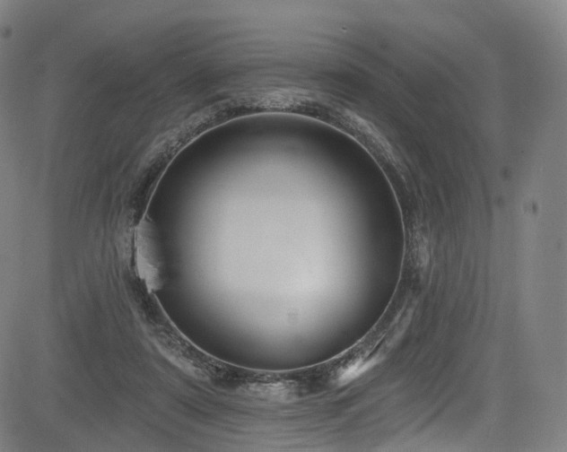 X0000085260307200703091330