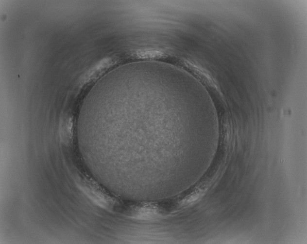 X0000085260308200703091330