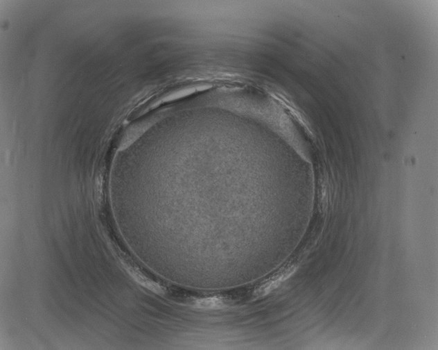 X0000085260309200703091330