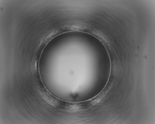 X0000085260310200703091330