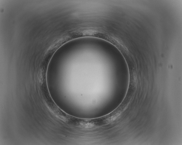 X0000085260311200703091330