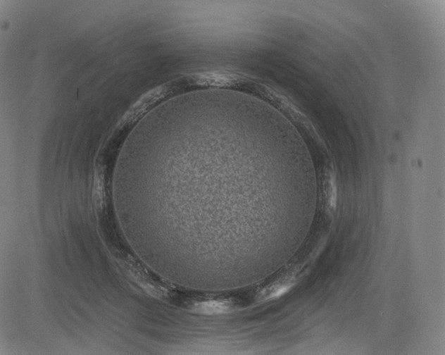 X0000085260312200703091330