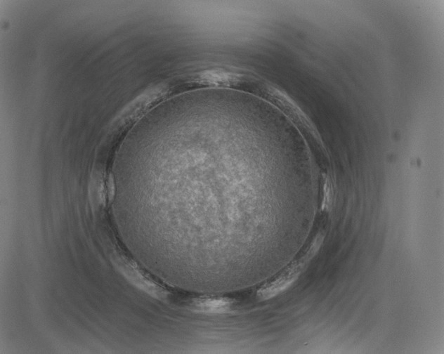 X0000085260313200703091330