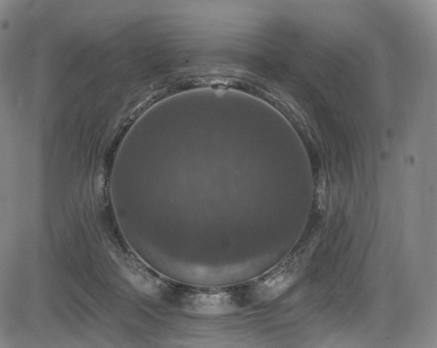 X0000085260314200703091330