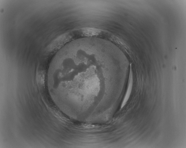 X0000085260315200703091330