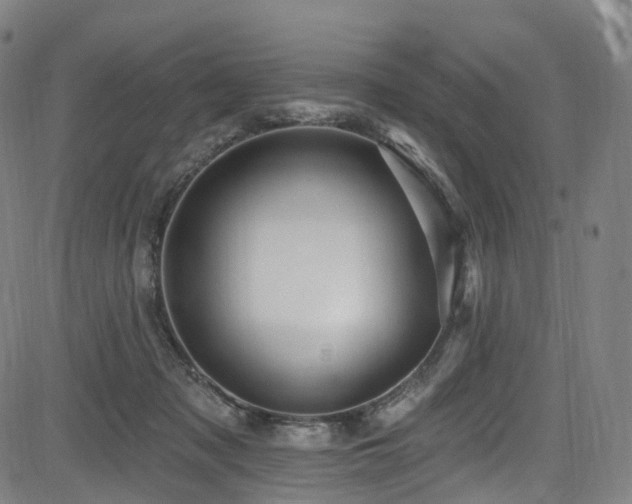 X0000085260317200703091330