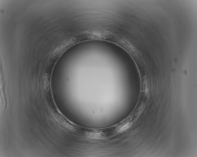 X0000085260318200703091330