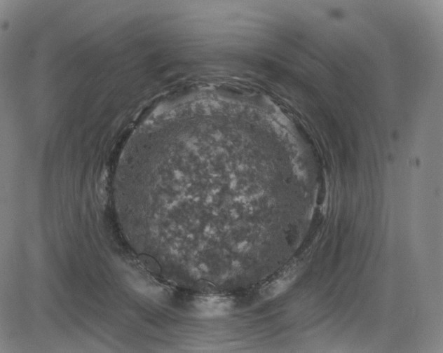 X0000085260319200703091330