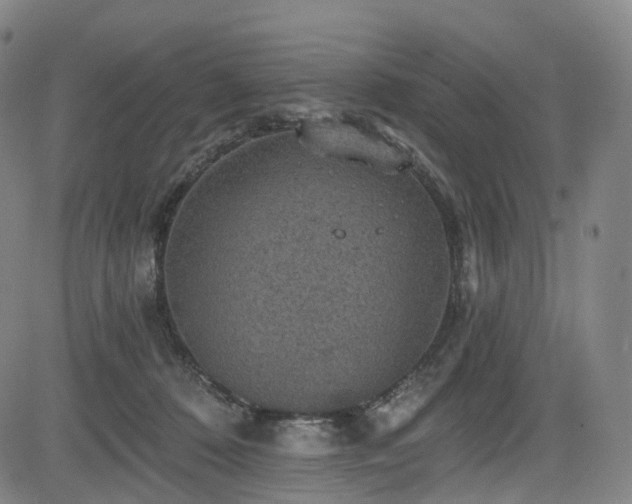 X0000085260320200703091330