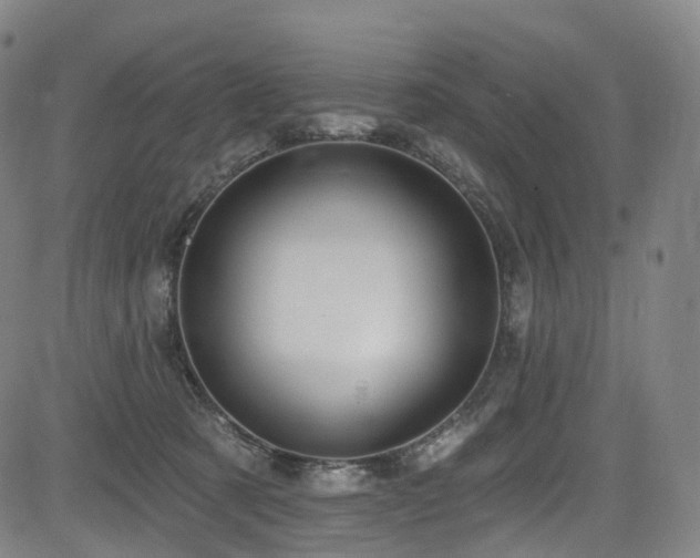 X0000085260321200703091330