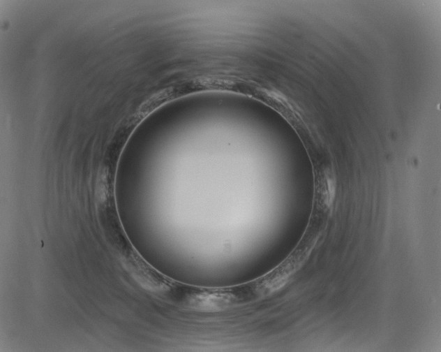 X0000085260323200703091330