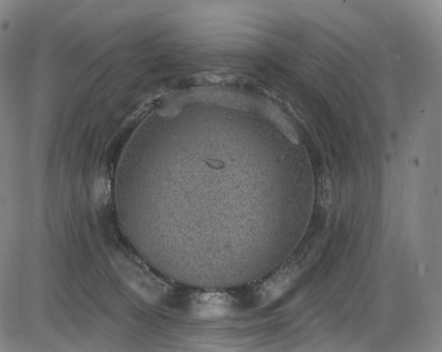 X0000085260324200703091330