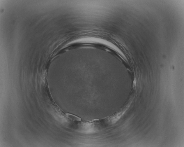 X0000085260325200703091330