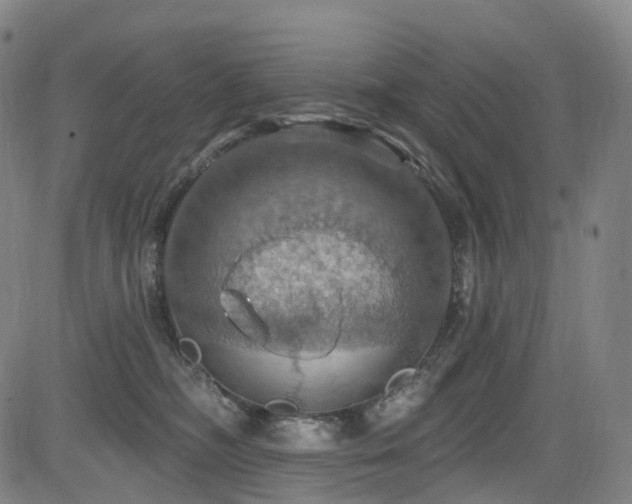 X0000085260326200703091330