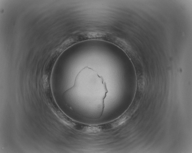 X0000085260327200703091330