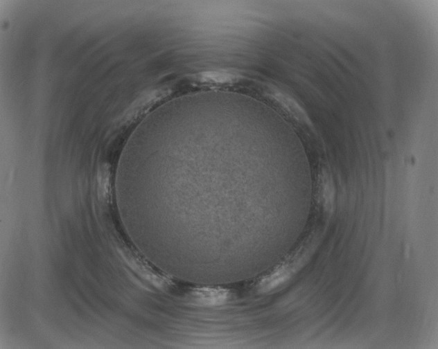 X0000085260328200703091330