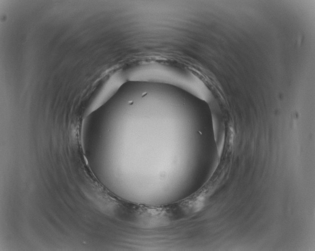 X0000085260329200703091330