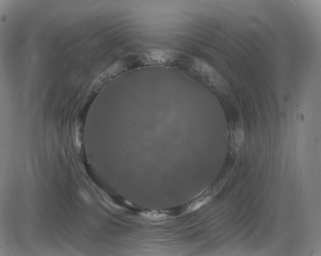 X0000085260331200703091330