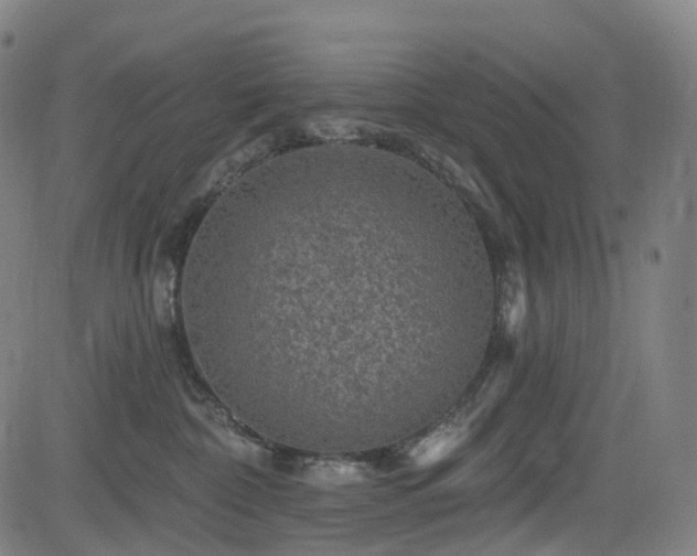 X0000085260332200703091330