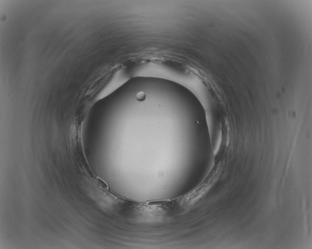 X0000085260333200703091330