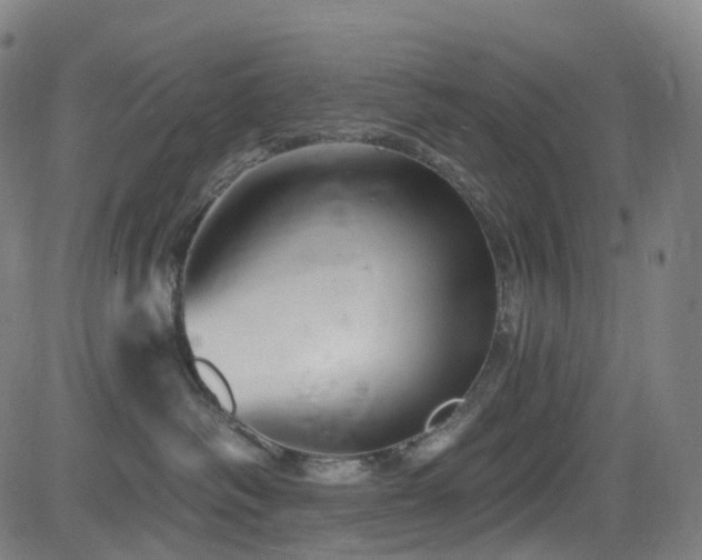 X0000085260334200703091330