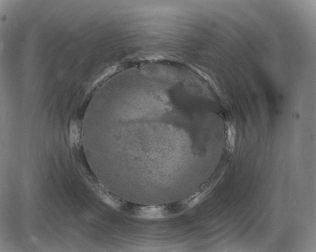 X0000085260335200703091330