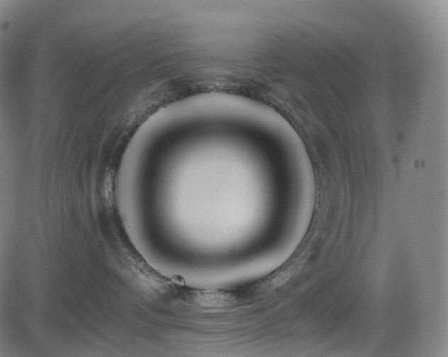 X0000085260336200703091330