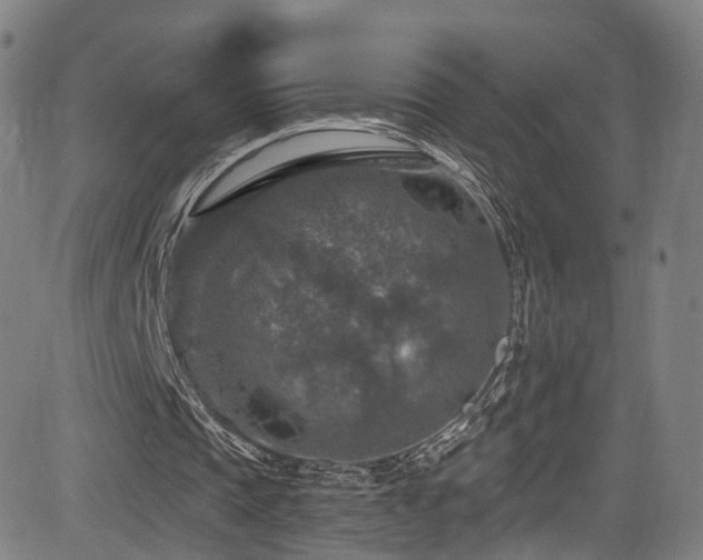 X0000085260337200703091329