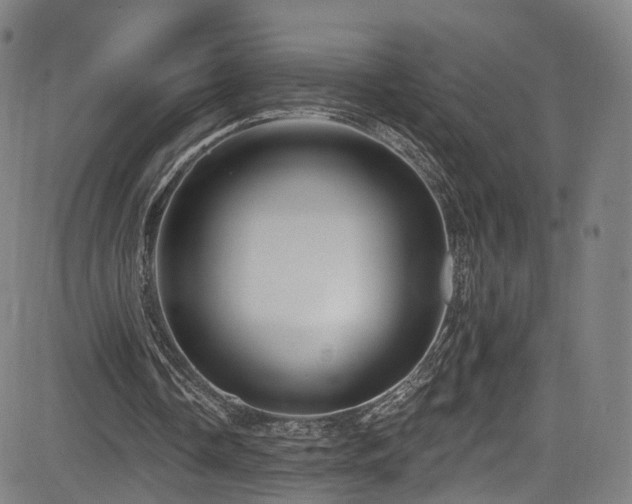 X0000085260338200703091329