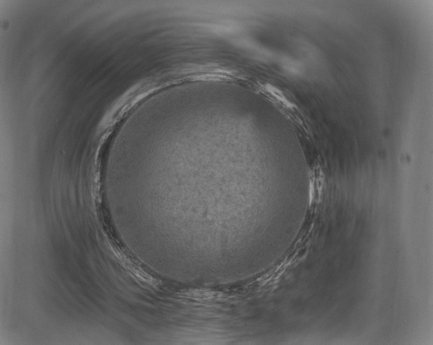 X0000085260339200703091329