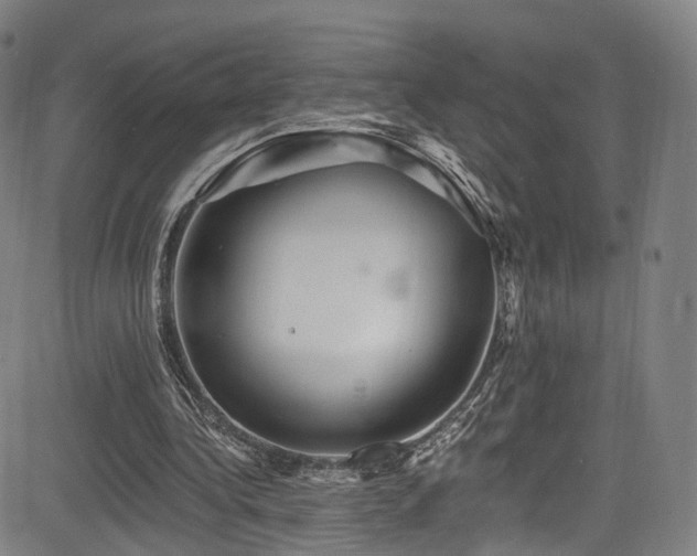 X0000085260340200703091329