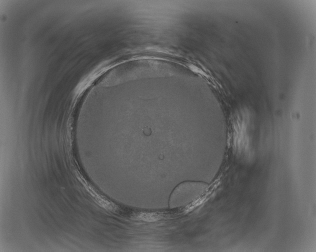 X0000085260341200703091329