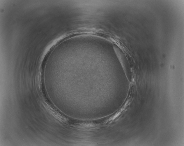 X0000085260342200703091329