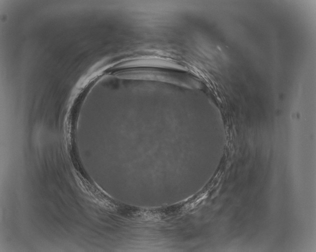 X0000085260343200703091329