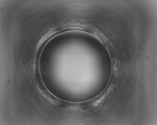 X0000085260344200703091329