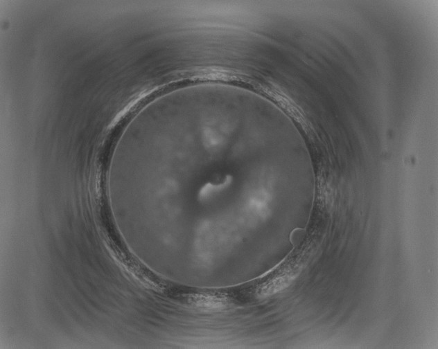 X0000085260347200703091329