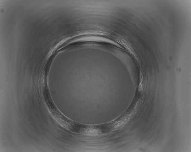 X0000085260348200703091329