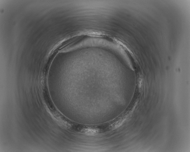 X0000085260352200703091329