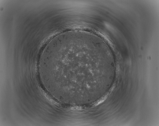 X0000085260353200703091329