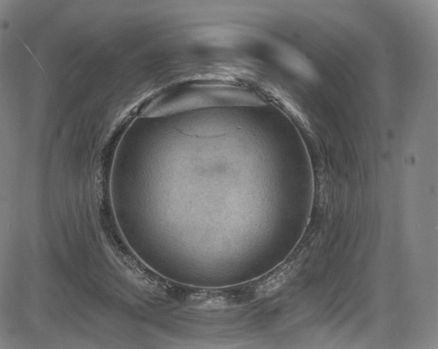 X0000085260354200703091329