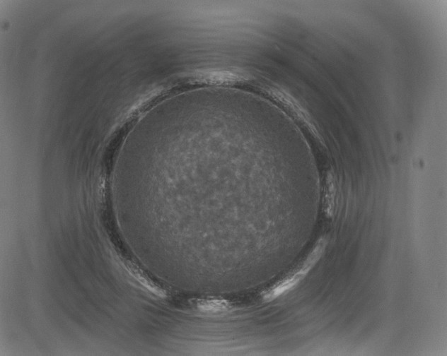 X0000085260355200703091329