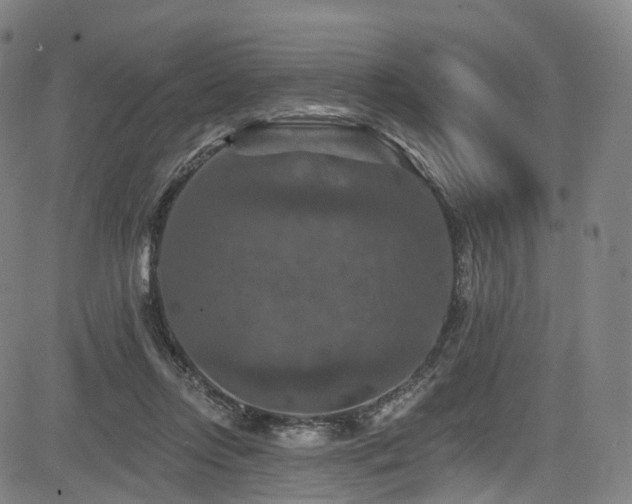 X0000085260358200703091329