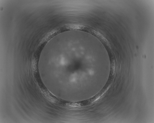 X0000085260359200703091329