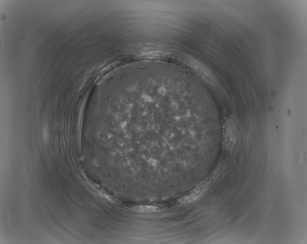 X0000085260361200703091329