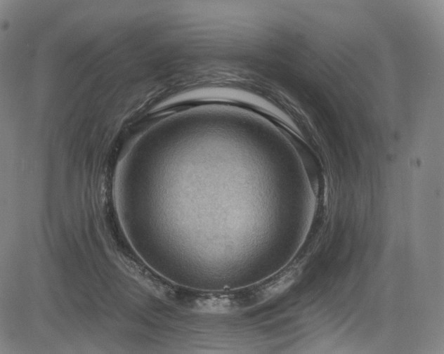 X0000085260362200703091329