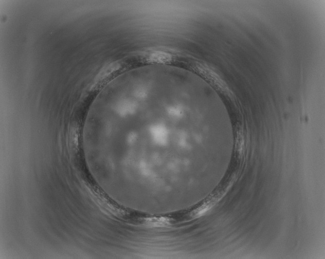 X0000085260363200703091329